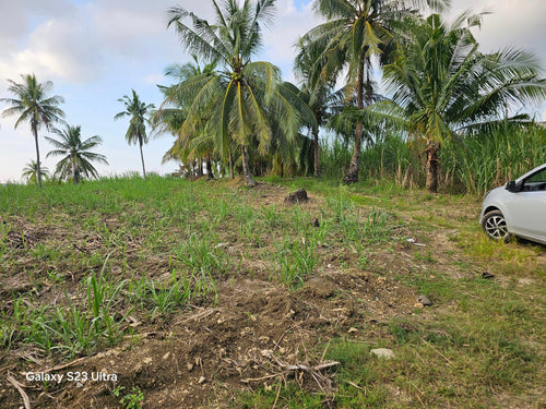 Almost 10 hectares clean title at Bogo City and near highway