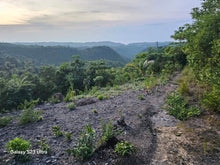 Load image into Gallery viewer, 3 hectares overlooking Seaview lot for sale 50 pesos per sqm