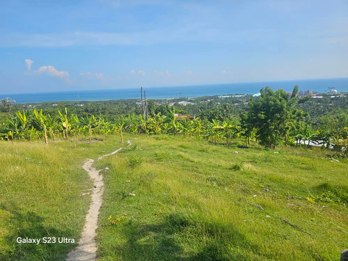 Seaview lot for sale at Naga City Cebu Philippines