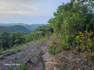 3 hectares overlooking Seaview lot for sale 50 pesos per sqm