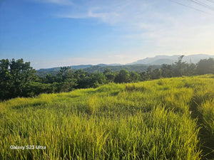 11 hectares titled property at Carcar City Cebu 1,000/sqm