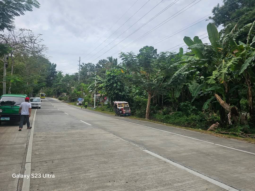 Bohol lot for sale 450 sqm along highway and walking distance from beaches, Maribojoc Bohol