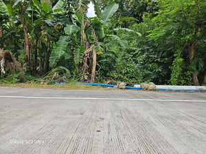 Bohol lot for sale 450 sqm along highway and walking distance from beaches, Maribojoc Bohol