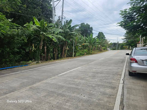 Bohol lot for sale 450 sqm along highway and walking distance from beaches, Maribojoc Bohol