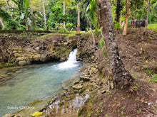 Load image into Gallery viewer, Bohol lot for sale 16,000 sqm along Loboc river cruise Loboc Bohol Philippines 1,000/sqm