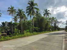 Load image into Gallery viewer, Bohol Lot for sale 17.5 hectares titled property along highway Catigbian Bohol Philippines 200/sqm