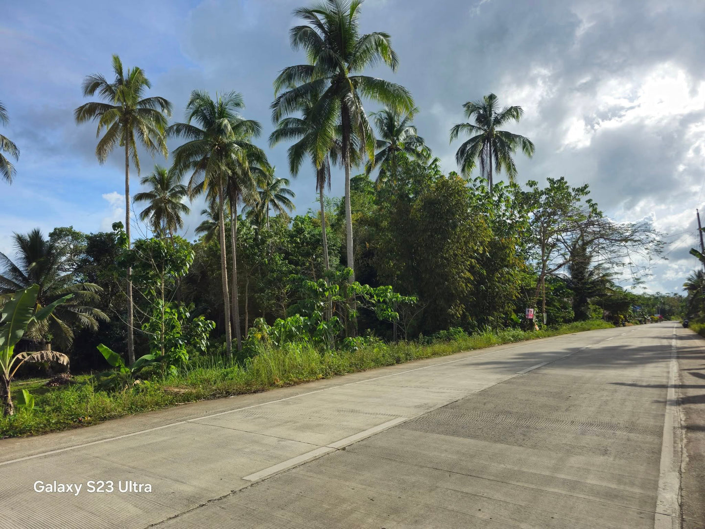 Bohol Lot for sale 17.5 hectares titled property along highway Catigbian Bohol Philippines 200/sqm