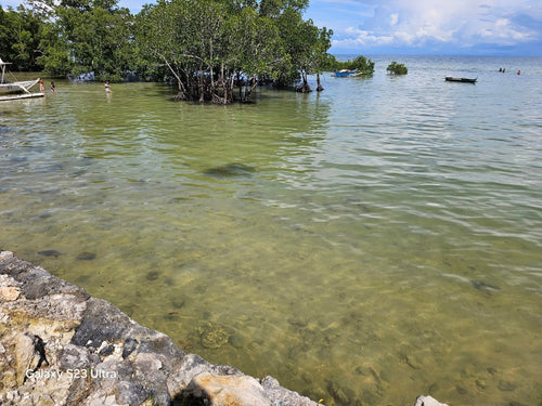 Lot for Sale Across the Beach – Bogo City, Northern Cebu