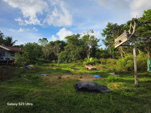 Bohol Lot for sale 17.5 hectares titled property along highway Catigbian Bohol Philippines 200/sqm