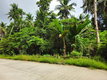 Load image into Gallery viewer, Bohol lot for sale 2,000 sqm expandable up to 4,800 sqm along Loboc River 1,500/sqm