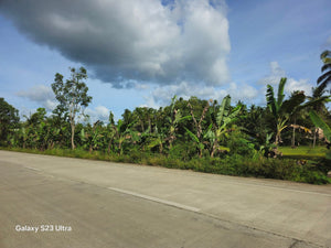 Bohol Lot for sale 17.5 hectares titled property along highway Catigbian Bohol Philippines 200/sqm