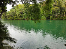 Load image into Gallery viewer, Bohol lot for sale 16,000 sqm along Loboc river cruise Loboc Bohol Philippines 1,000/sqm