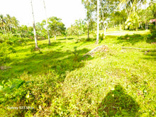 Load image into Gallery viewer, Bohol Lot for sale 17.5 hectares titled property along highway Catigbian Bohol Philippines 200/sqm