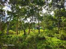 Load image into Gallery viewer, Bohol Lot for sale 17.5 hectares titled property along highway Catigbian Bohol Philippines 200/sqm