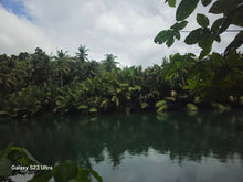 Load image into Gallery viewer, Bohol lot for sale 2,000 sqm expandable up to 4,800 sqm along Loboc River 1,500/sqm