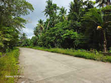 Load image into Gallery viewer, Bohol lot for sale 2,000 sqm expandable up to 4,800 sqm along Loboc River 1,500/sqm