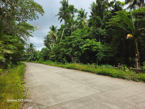 Bohol lot for sale 2,000 sqm expandable up to 4,800 sqm along Loboc River 1,500/sqm