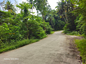 Bohol lot for sale 2,000 sqm expandable up to 4,800 sqm along Loboc River 1,500/sqm