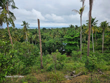 Load image into Gallery viewer, Lot for sale flat overlooking Seaview near Highway &amp; seaport for Simala southern cebu