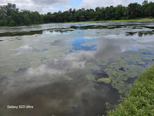 Load image into Gallery viewer, Bohol fishpond for sale in UBay Bohol Philippines