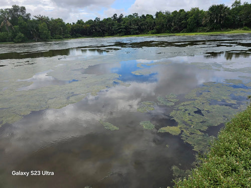 Bohol fishpond for sale in UBay Bohol Philippines