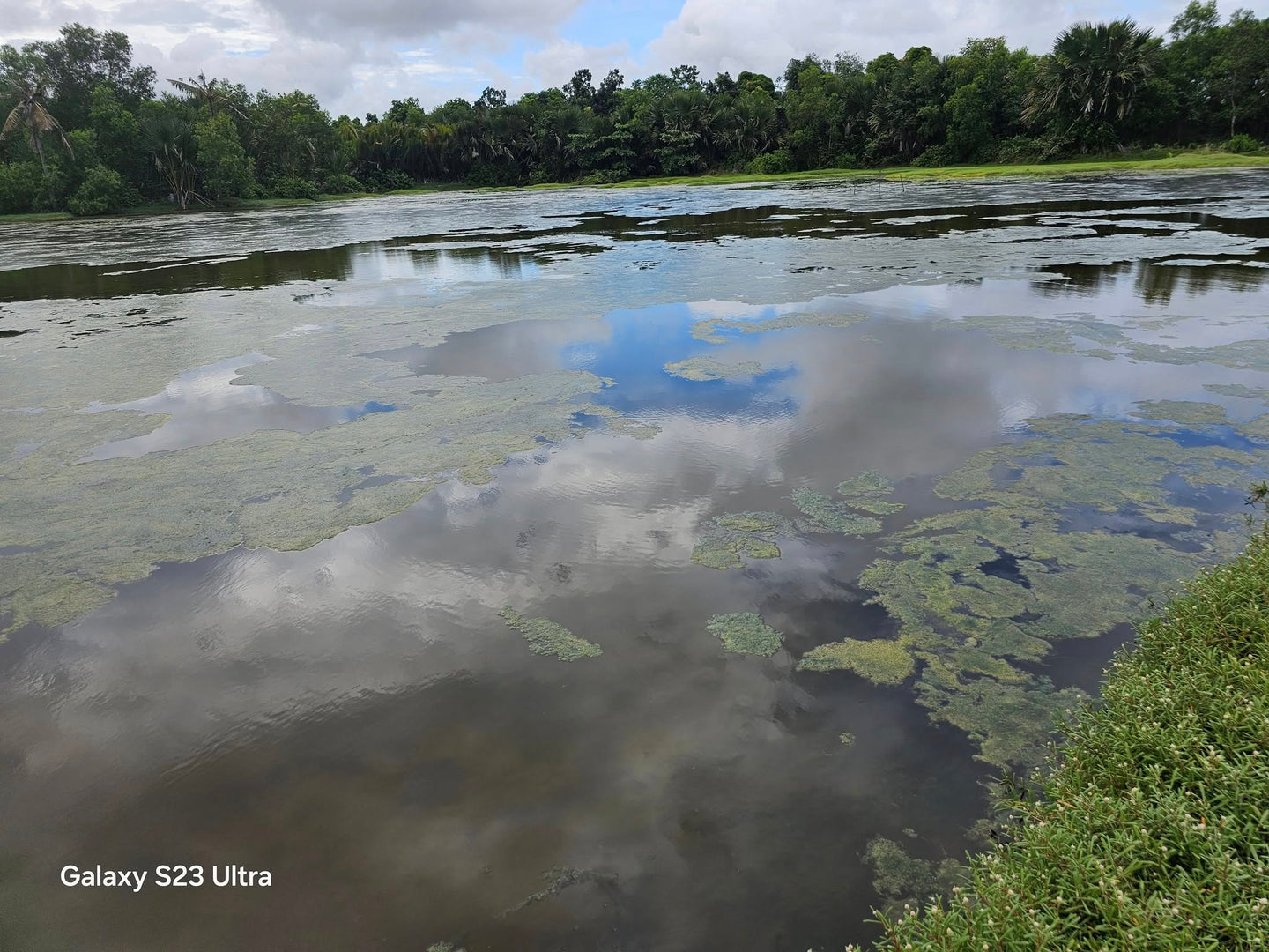 Bohol fishpond for sale in UBay Bohol Philippines