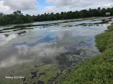 Load image into Gallery viewer, Bohol fishpond for sale in UBay Bohol Philippines