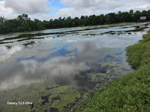 Bohol fishpond for sale in UBay Bohol Philippines