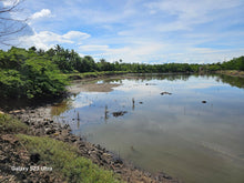 Load image into Gallery viewer, Bohol fishpond for sale in Ubay Bohol Philippines