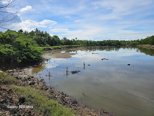 Bohol fishpond for sale in Ubay Bohol Philippines