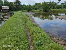 Load image into Gallery viewer, Bohol fishpond for sale in UBay Bohol Philippines