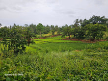 Load image into Gallery viewer, 8.8 hectares titled property along the river in Trinidad Bohol