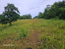 Load image into Gallery viewer, 8.8 hectares titled property along the river in Trinidad Bohol