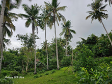 Load image into Gallery viewer, Lot for sale flat overlooking Seaview near Highway &amp; seaport for Simala southern cebu