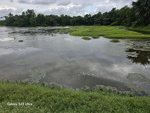 Load image into Gallery viewer, Bohol fishpond for sale in UBay Bohol Philippines