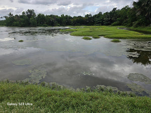 Bohol fishpond for sale in UBay Bohol Philippines