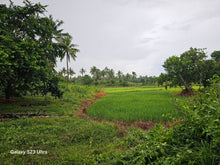 Load image into Gallery viewer, 8.8 hectares titled property along the river in Trinidad Bohol