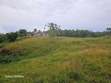 Load image into Gallery viewer, 8.8 hectares titled property along the river in Trinidad Bohol