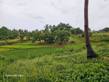 Load image into Gallery viewer, 8.8 hectares titled property along the river in Trinidad Bohol