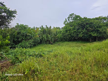 Load image into Gallery viewer, 8.8 hectares titled property along the river in Trinidad Bohol