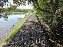 Load image into Gallery viewer, Bohol fishpond for sale in Ubay Bohol Philippines