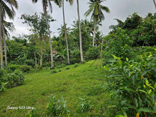 Load image into Gallery viewer, Lot for sale flat overlooking Seaview near Highway &amp; seaport for Simala southern cebu