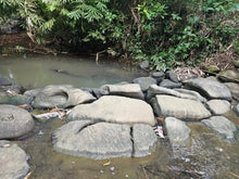 Load image into Gallery viewer, River front lot for sale at San Francisco Ubay Bohol