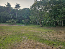 Load image into Gallery viewer, 7,243 sqm clean title for sale in Corella Bohol 500/sqm