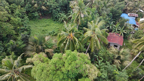 Bohol lot for sale 5,370 sqm Tubigon Bohol 500/sqm negotiable