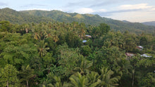 Load image into Gallery viewer, Bohol lot for sale 5,370 sqm Tubigon Bohol 500/sqm negotiable