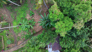 Bohol lot for sale 5,370 sqm Tubigon Bohol 500/sqm negotiable