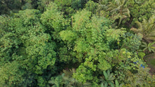 Load image into Gallery viewer, Bohol lot for sale 5,370 sqm Tubigon Bohol 500/sqm negotiable
