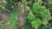 Load image into Gallery viewer, Bohol lot for sale 5,370 sqm Tubigon Bohol 500/sqm negotiable