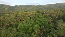 Load image into Gallery viewer, Bohol lot for sale 5,370 sqm Tubigon Bohol 500/sqm negotiable